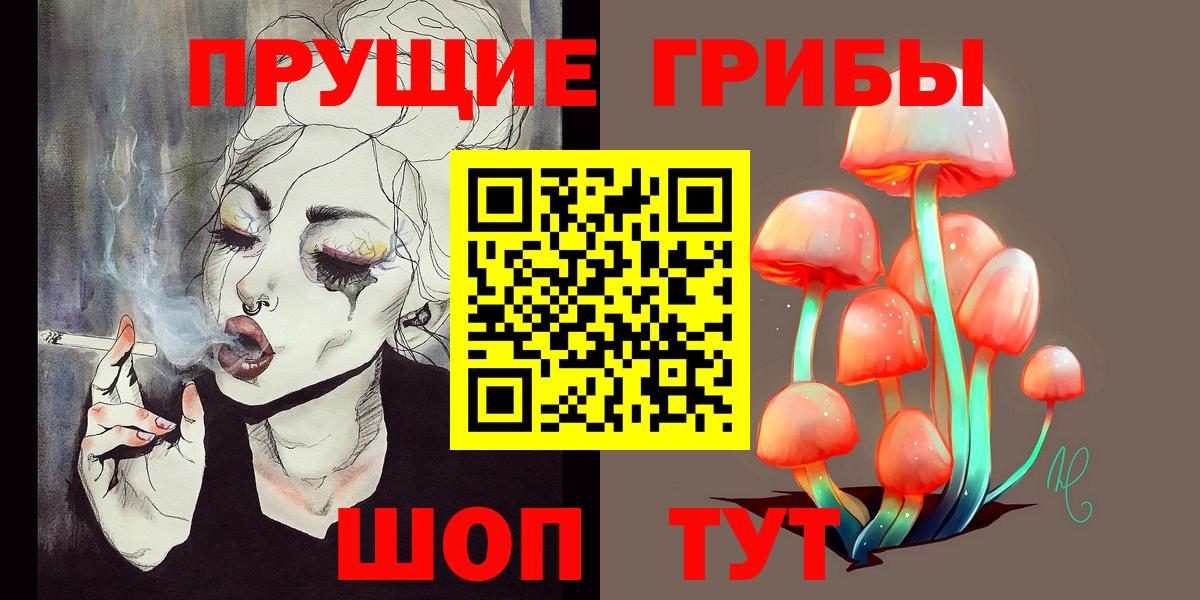 Псилоцибиновые грибы прущие грибы Губкин
