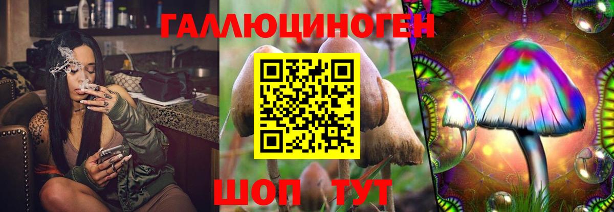 Губкин  Галлюциногенные грибы Psilocybe  Вход с VPN 